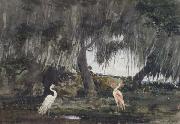 Winslow Homer At Tampa (mk44) Sweden oil painting artist
